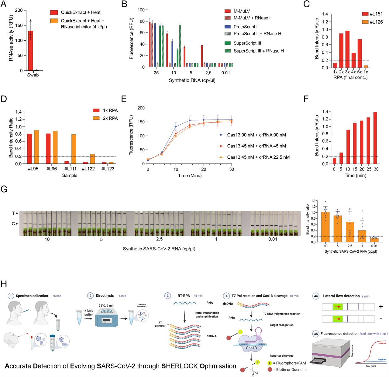 ADESSO detects SARS-CoV-2 and its variants: extensive clinical validation  of an optimised CRISPR-Cas13-based COVID-19 test