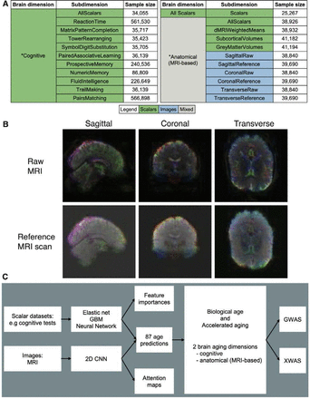 Figure 1: