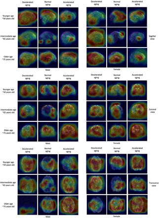 Figure 4: