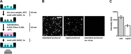 Figure 2: