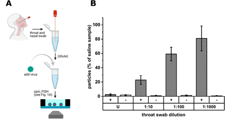 Figure 6: