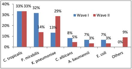 Figure 4(c):