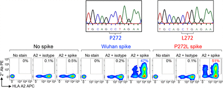 Supplementary Figure 5