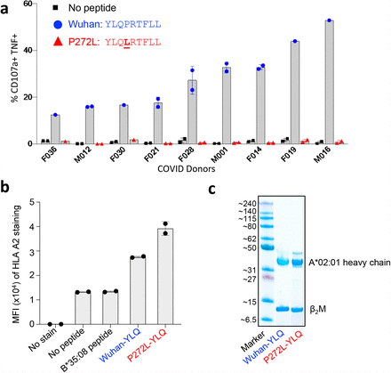 Supplementary Figure 3