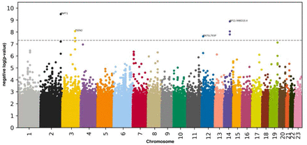 Figure 5: