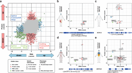 Fig. 2: