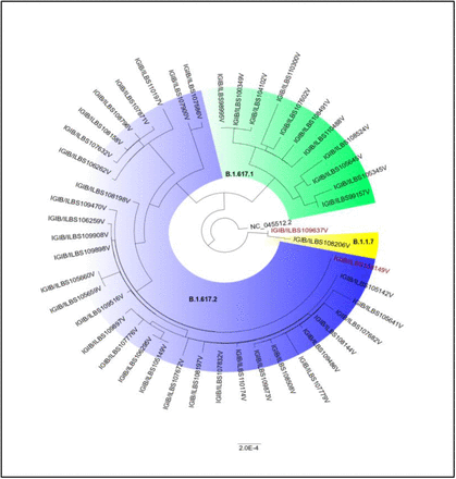 Figure 4: