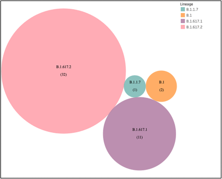 Figure 5: