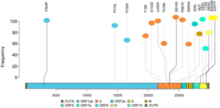 Figure 6: