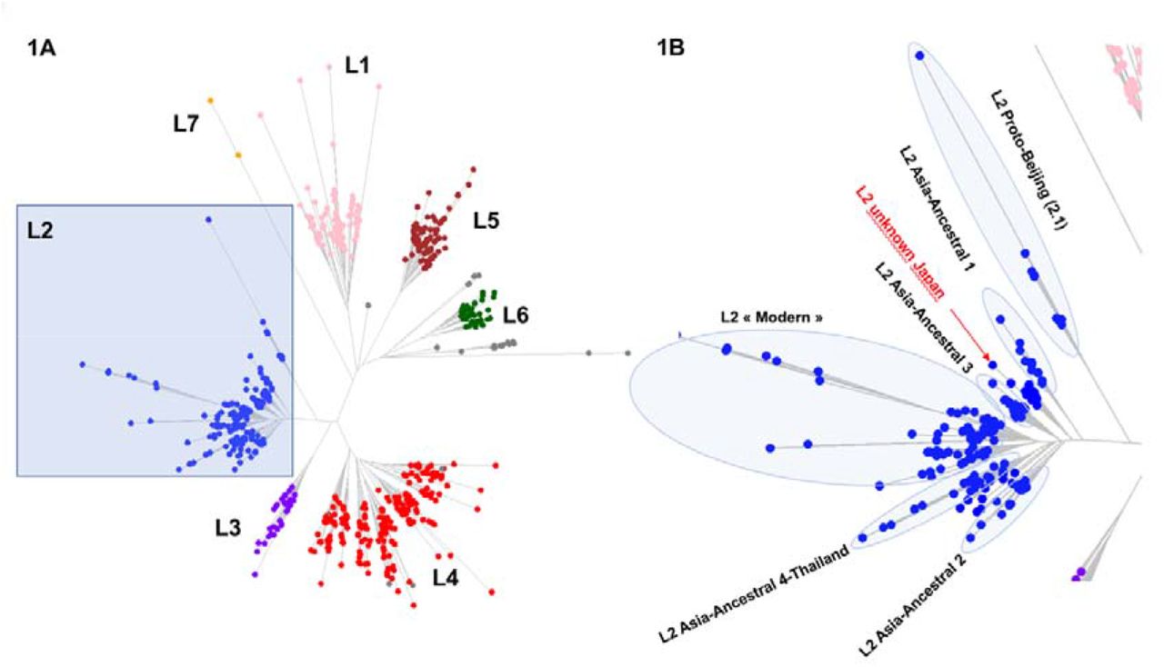 Connection between two historical tuberculosis outbreak sites in 