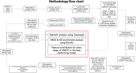 Figure 11: