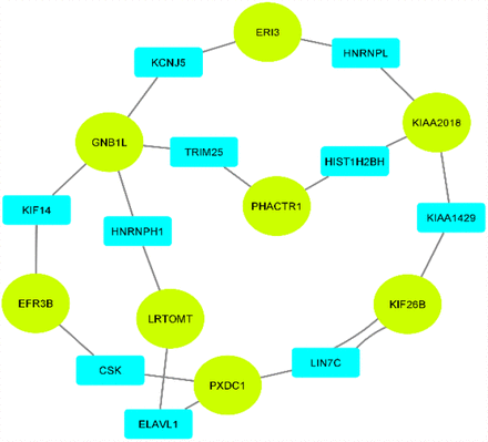 Figure 5: