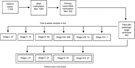 Figure 7: