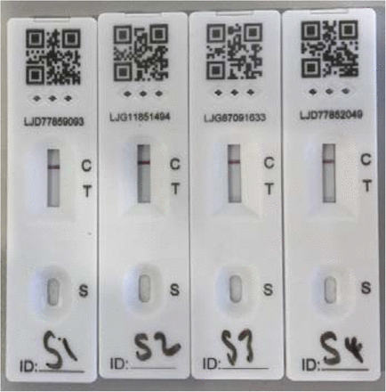 Figure 3: