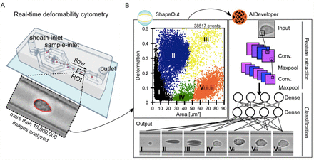 Figure 1: