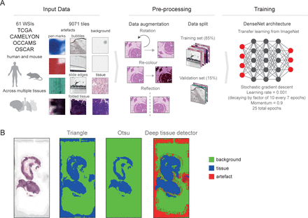 Figure 2: