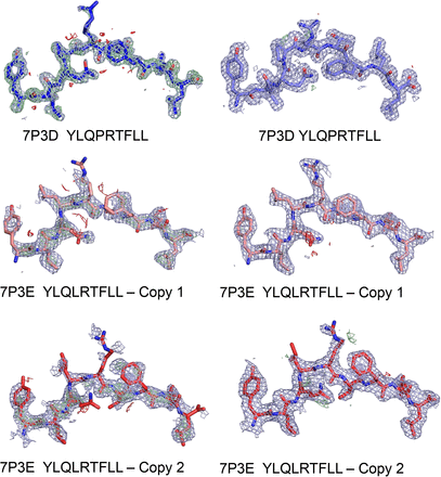 Supplementary Figure 6.