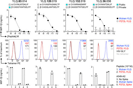 Figure 4: