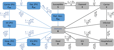 Fig 1.