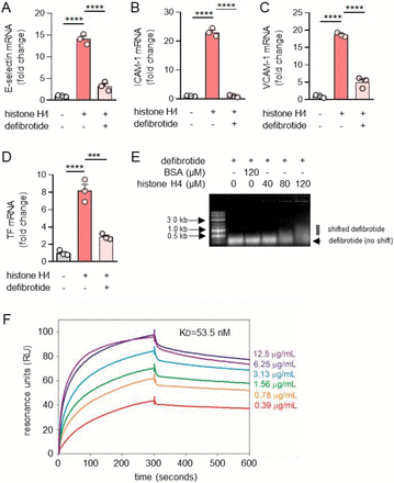 Figure 4: