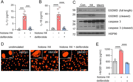 Figure 6: