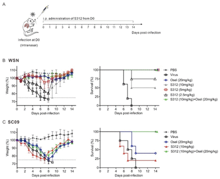 Figure 4: