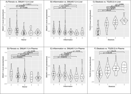 Figure 5: