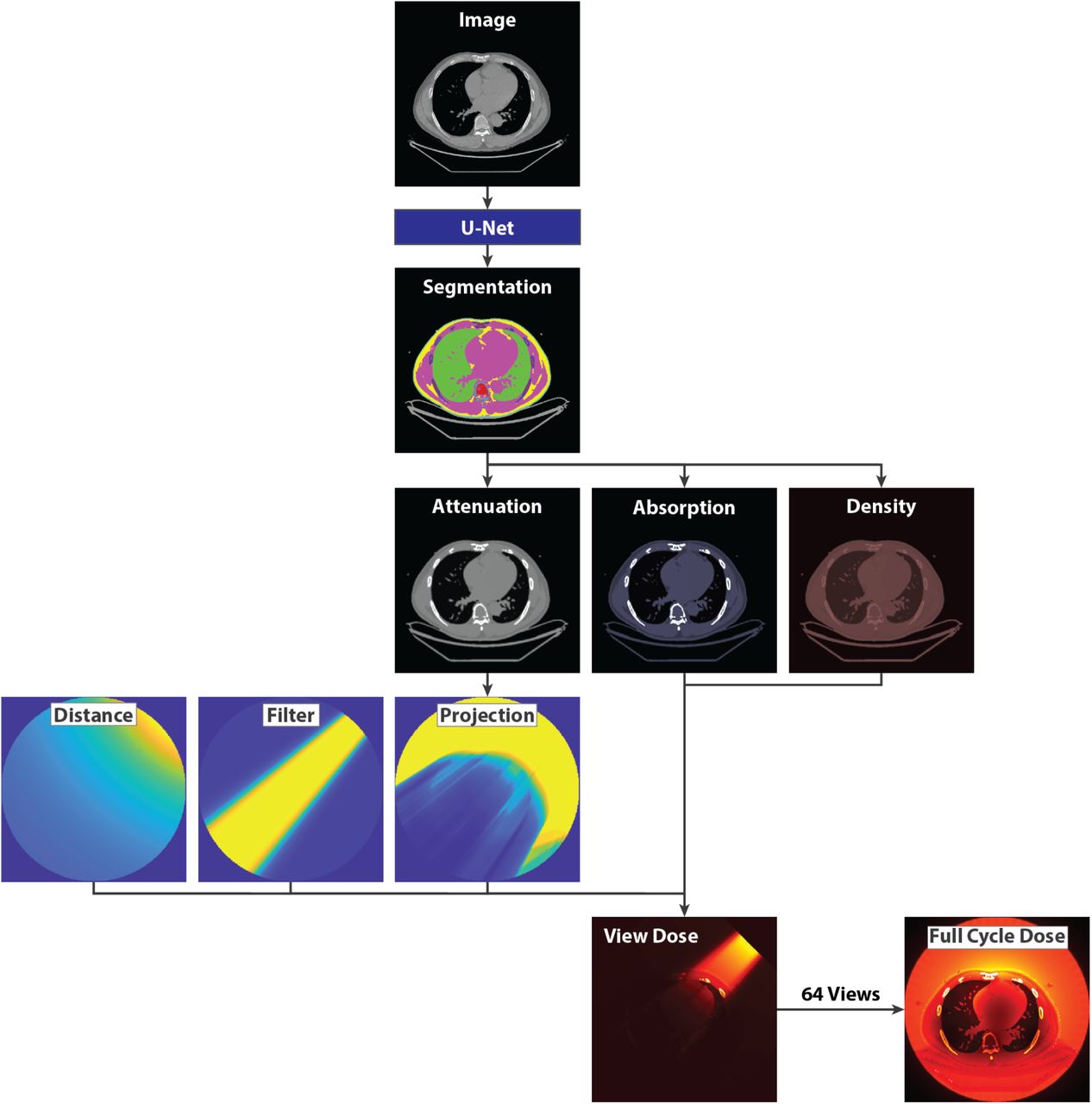 Heart-centered positioning and tailored beam-shaping filtration for reduced  radiation dose in coronary artery calcium imaging: a MESA study | medRxiv