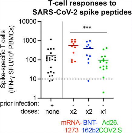 Figure 3: