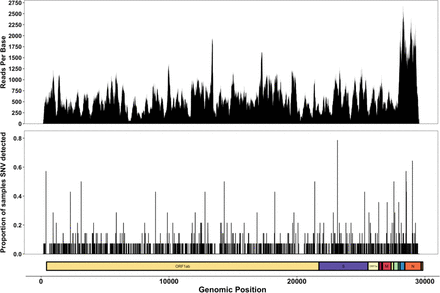 Figure 5: