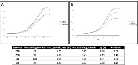 Figure 5