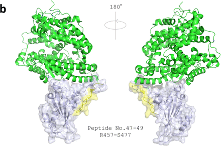 Figure 5.