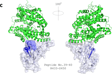 Figure 5.