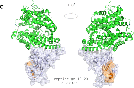 Figure 6.