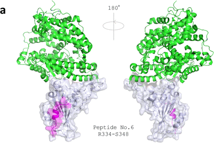 Figure 6.