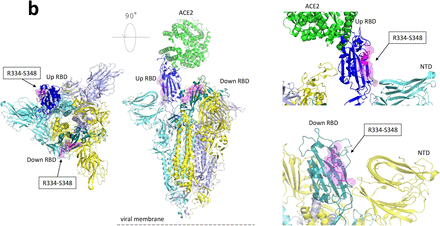 Figure 6.