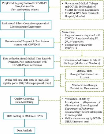 Figure 1: