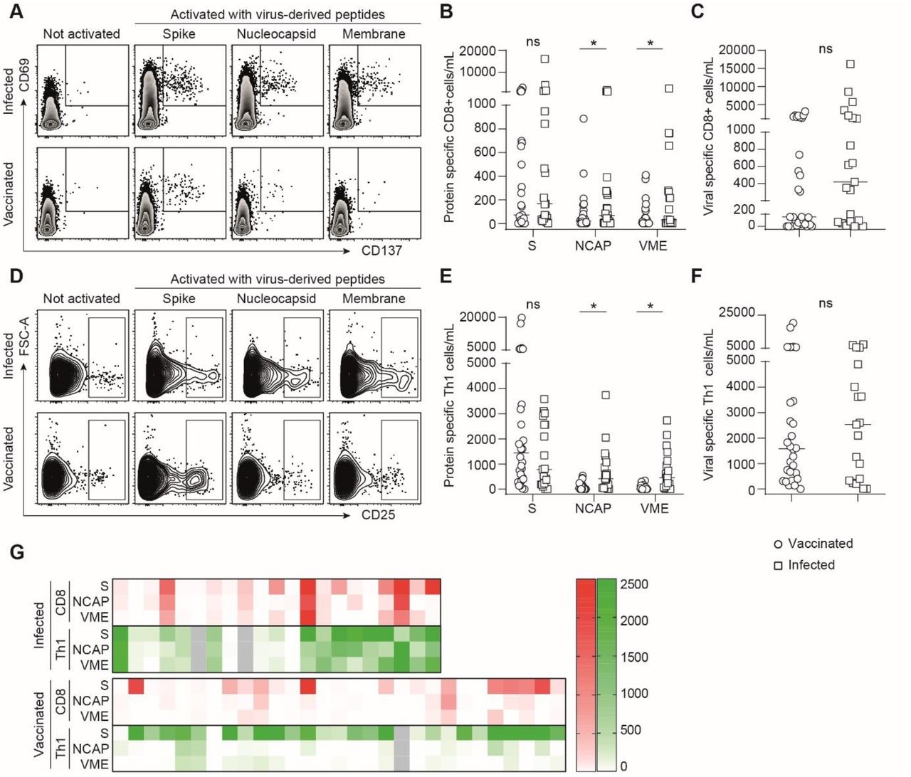 Comparison of infected and vaccinated transplant recipients 