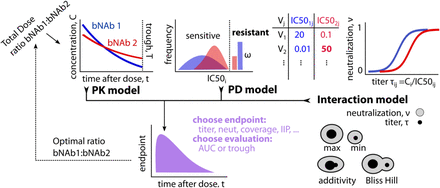 Fig 1.