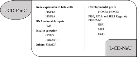 Figure 5: