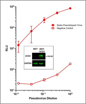 Figure S3.