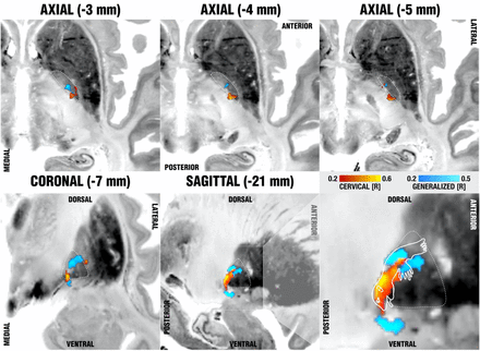 Figure 4: