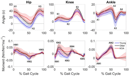 Figure 7: