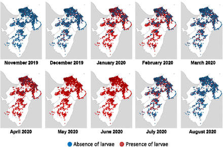 Figure 2: