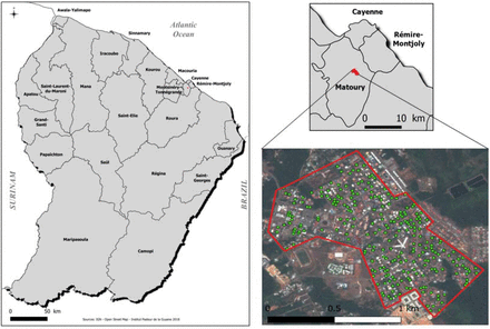 Figure 4: