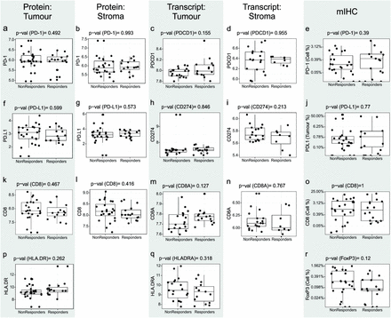 Supp Figure 4.