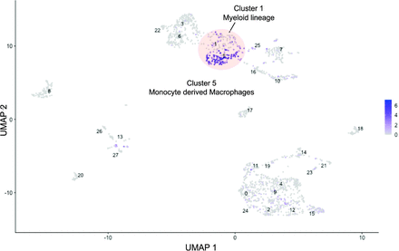 Supp Figure 6.