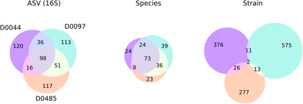 Figure 6: