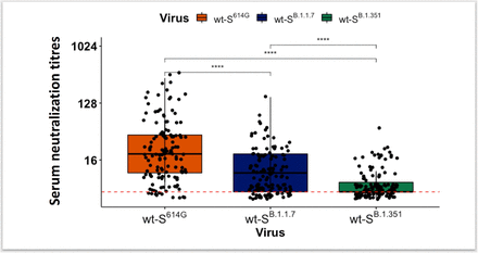 Figure 2: