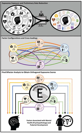 Studying the exposome for a healthier future for all children